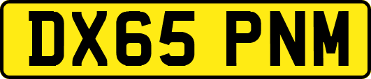 DX65PNM