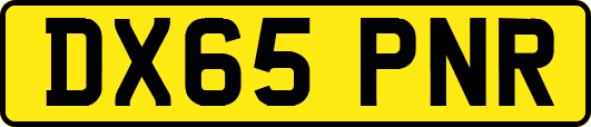 DX65PNR