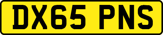 DX65PNS