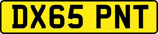 DX65PNT