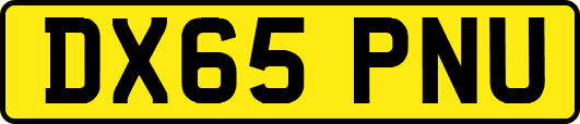 DX65PNU