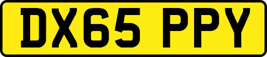 DX65PPY