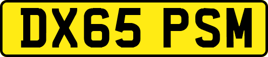 DX65PSM