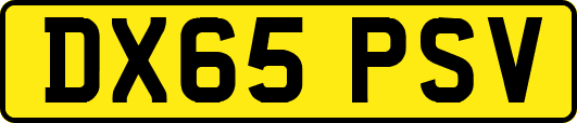 DX65PSV