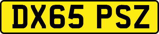 DX65PSZ