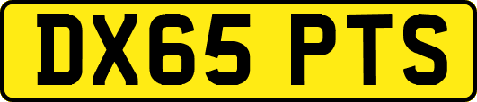 DX65PTS