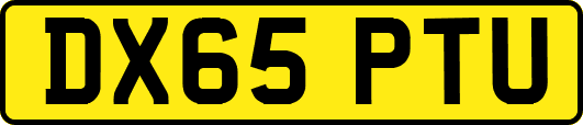 DX65PTU