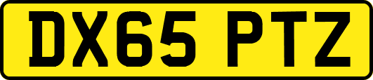 DX65PTZ