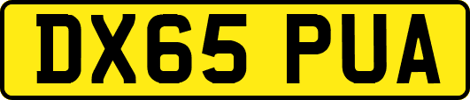DX65PUA