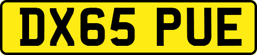 DX65PUE