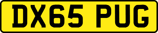 DX65PUG