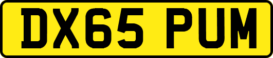 DX65PUM