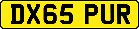 DX65PUR