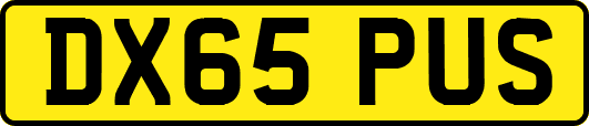DX65PUS