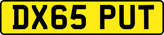 DX65PUT