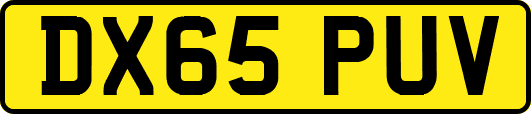 DX65PUV