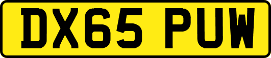 DX65PUW