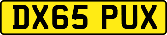 DX65PUX