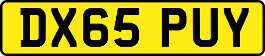 DX65PUY
