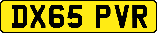 DX65PVR