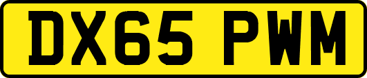 DX65PWM