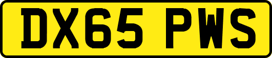 DX65PWS