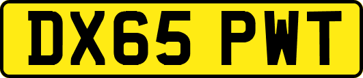 DX65PWT
