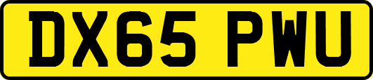 DX65PWU