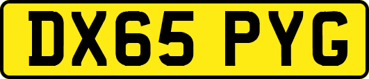 DX65PYG