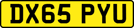 DX65PYU