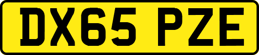 DX65PZE