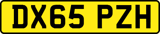 DX65PZH