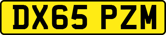 DX65PZM