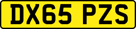 DX65PZS