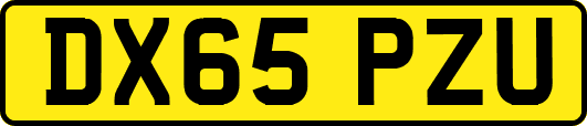 DX65PZU