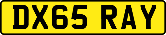 DX65RAY