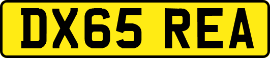 DX65REA