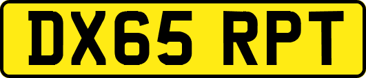 DX65RPT