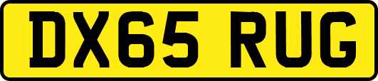 DX65RUG
