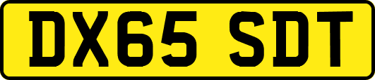 DX65SDT