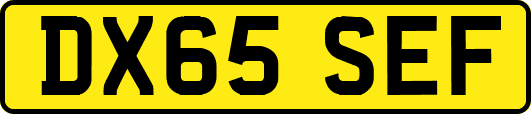 DX65SEF