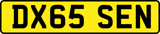DX65SEN