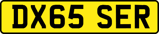 DX65SER