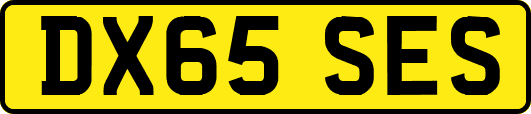 DX65SES