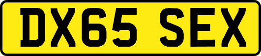 DX65SEX