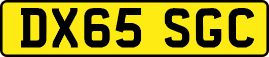 DX65SGC