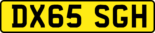 DX65SGH