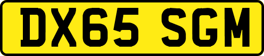 DX65SGM
