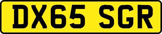DX65SGR