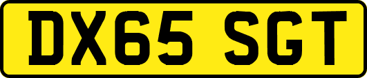 DX65SGT